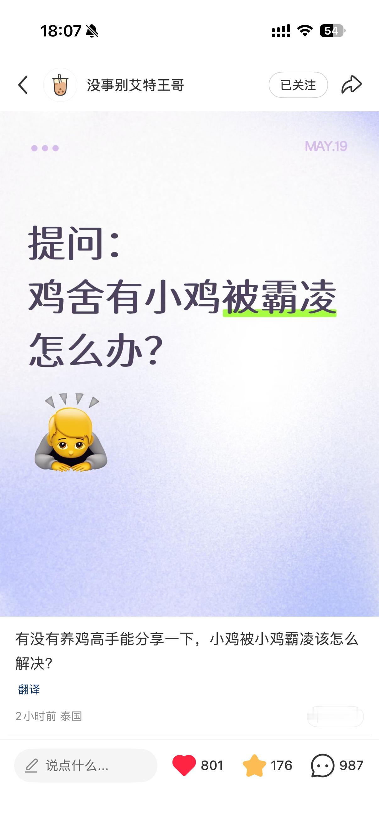 每一只鸡受伤王俊凯都会伤心的OK？找出领头鸡 把80鸡的小鸡都打一遍就老实了王俊