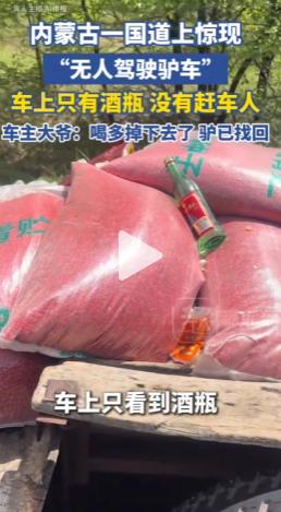 “太离谱了！”内蒙古兴安盟，203国道上惊现一辆无人驾驶的驴车，正稳稳当当匀速前