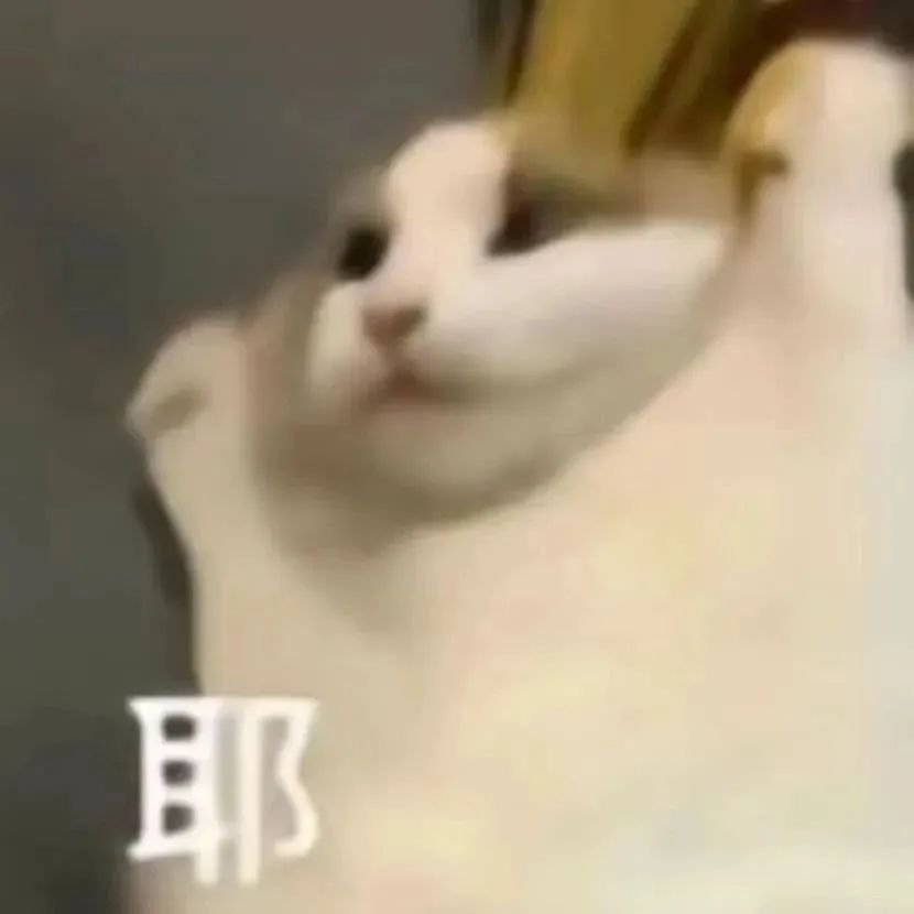 希望我掉的每一根头发都能变成钱，以另一种身份陪在我身边🙏 ​​​