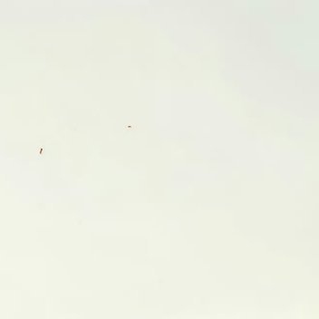 爱物惜物，即是善行；勤俭持家，便是积德。 心不欲杂，行善则真；心若欲杂，空行百善