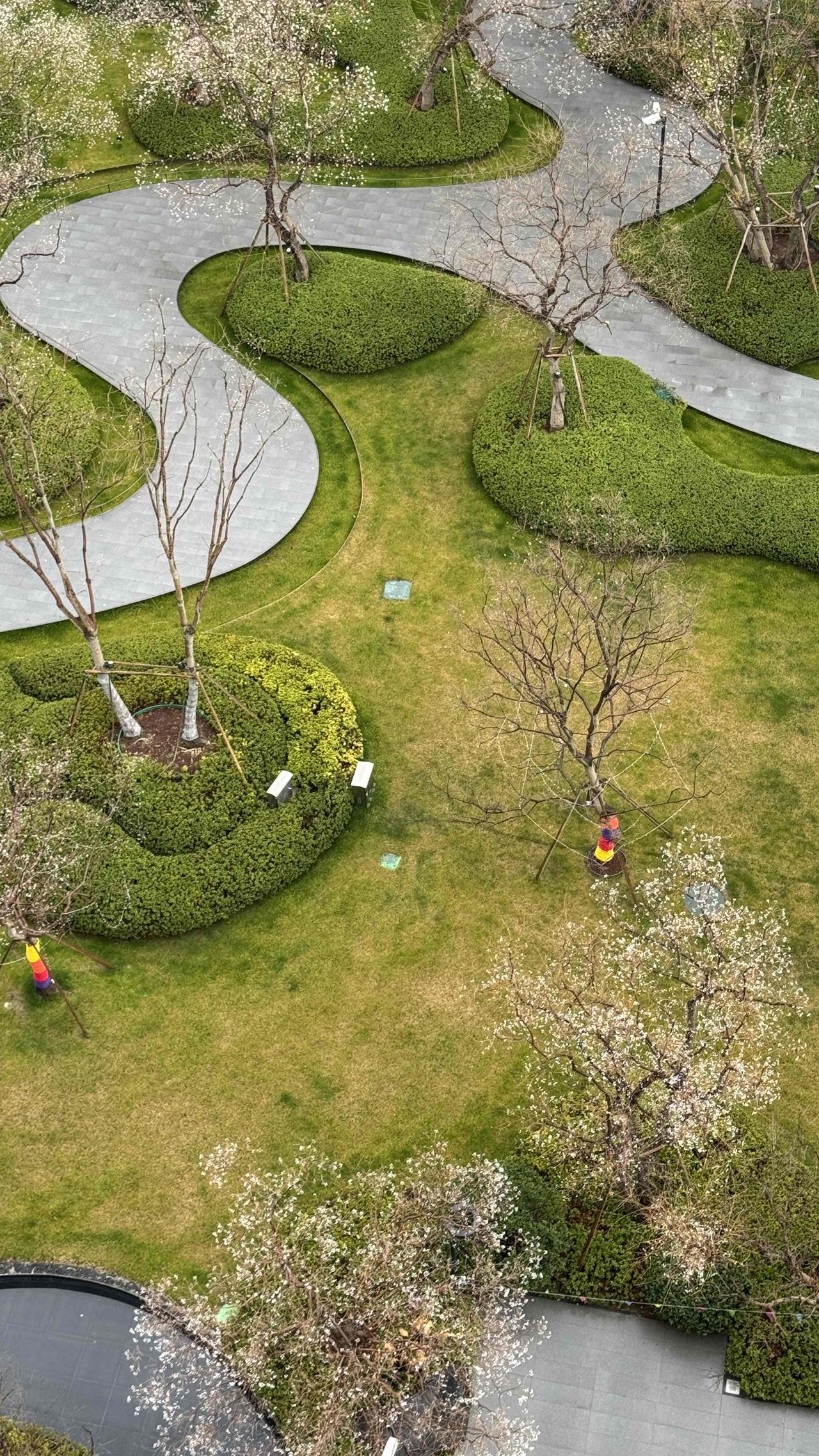 晒晒相册里的大自然咱们小区的花园也太惊艳了，随手一拍都是大片，幸福感拉满！小区风