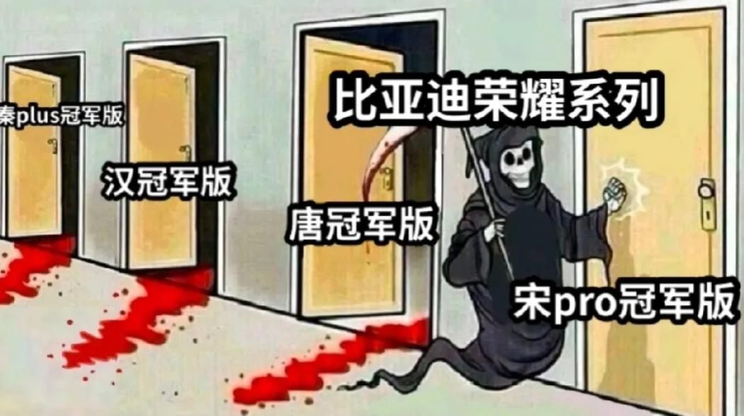 比亚迪把终端价当上市价卖？
比亚迪的荣耀版注定是要遍布整个系列，不仅是王朝，海洋