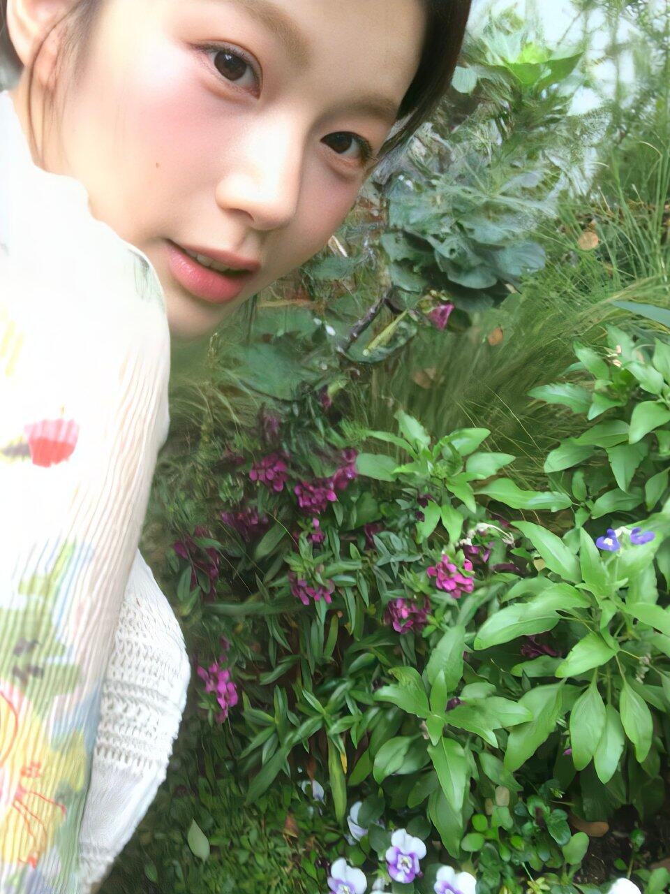 四季初始 天上有云 林间有雾 人间是春 