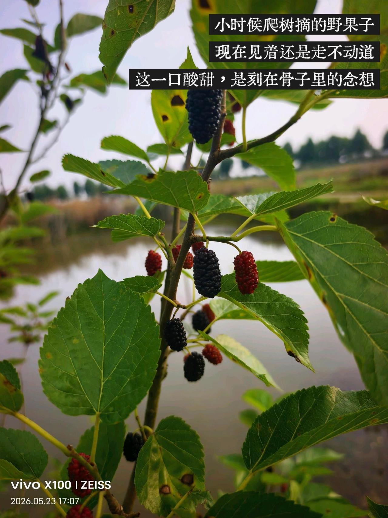 有没有发现，活到最后其实就和两件事挂钩——吃饱、穿暖。这个世界好多东西都是虚的：