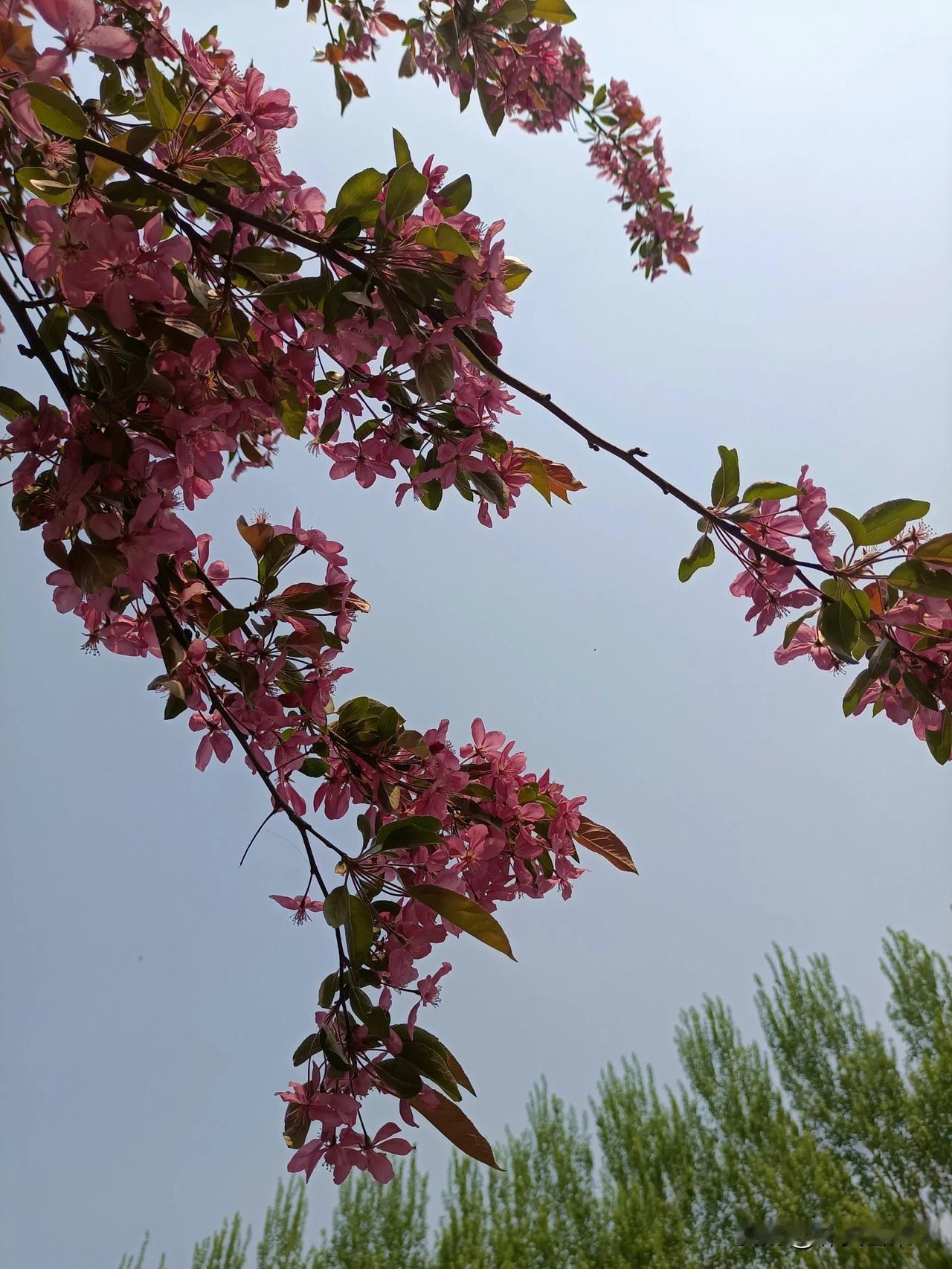#65岁,你还愿意打工吗?#
针对这个问题我想说，别说65岁，即使是70岁了，愿