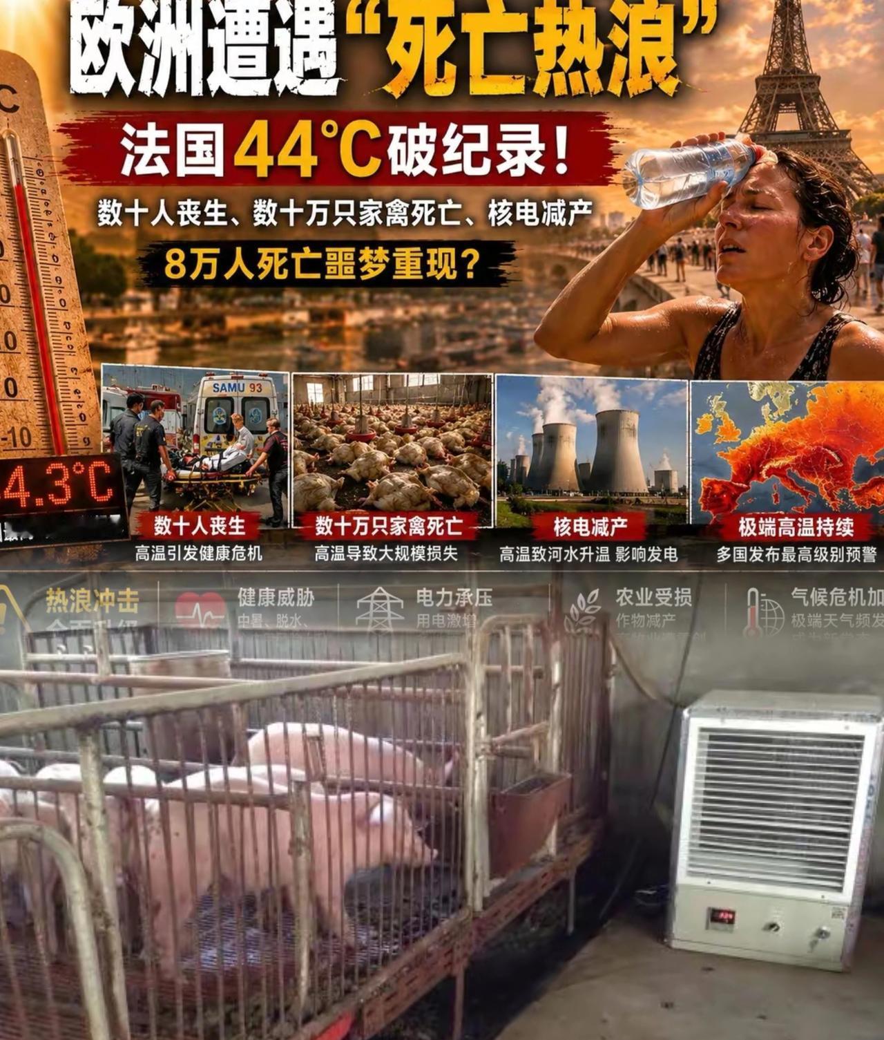 这两天外网两个反差名场面，把不少外国网友看得集体破防，看完你都得笑出声。
前阵子