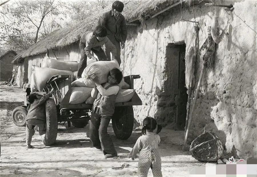 1979年秋，安徽省凤阳县小岗村，农民严宏昌用借来的拖拉机拉回自家丰收的粮食。