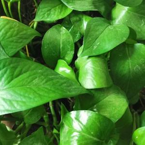 李师讲最真教育