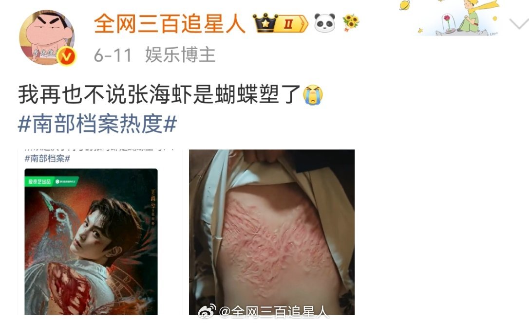 我又来套丁禹兮的张海虾蝴蝶塑了，是伤疤还是破茧成蝶的意思吧！归来吧张海侠南部档案