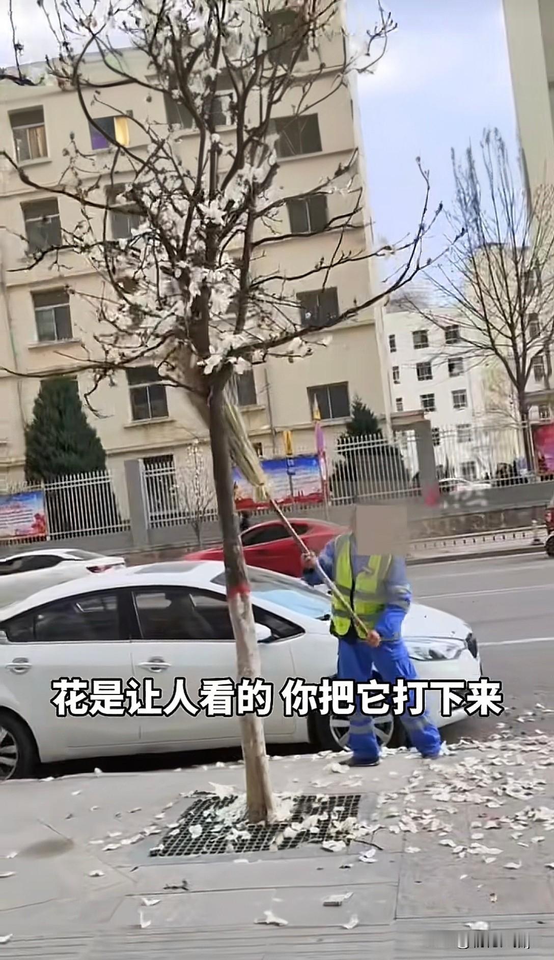 首先为西安城 管点赞！

有网友发现身着环卫马甲的人用长杆在马路上打落花瓣。
