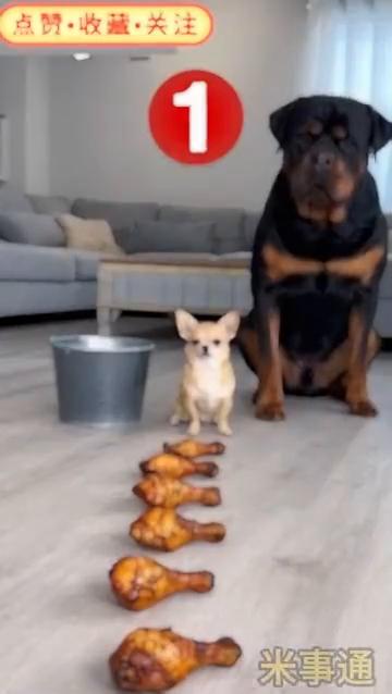 点赞·收藏·关注。