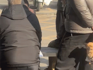 看来大部分人并不知道，如果遇到事故，速度从高速骤降到0并不是最佳选择。“瞬间刹停