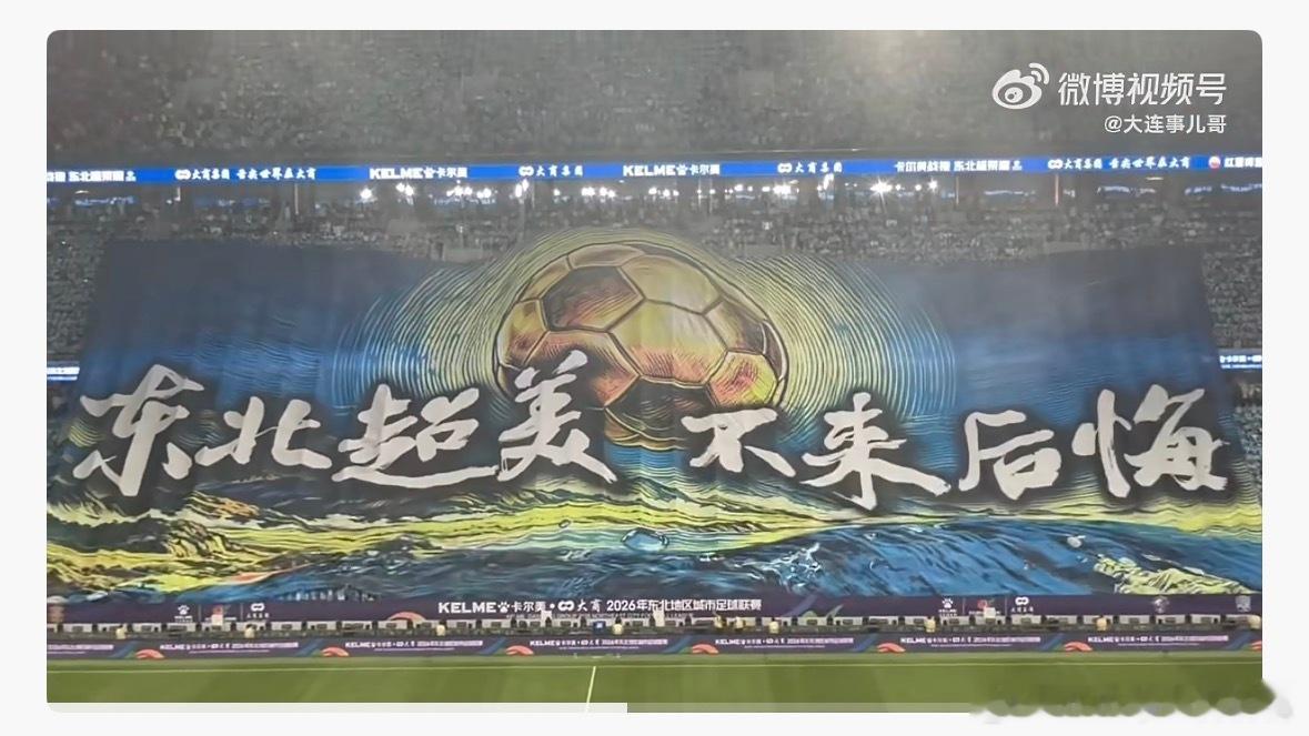 因为支持孙继海，很多董路的粉丝和凑热闹的乌合之众阴阳怪气的回复我“IP正确”，这