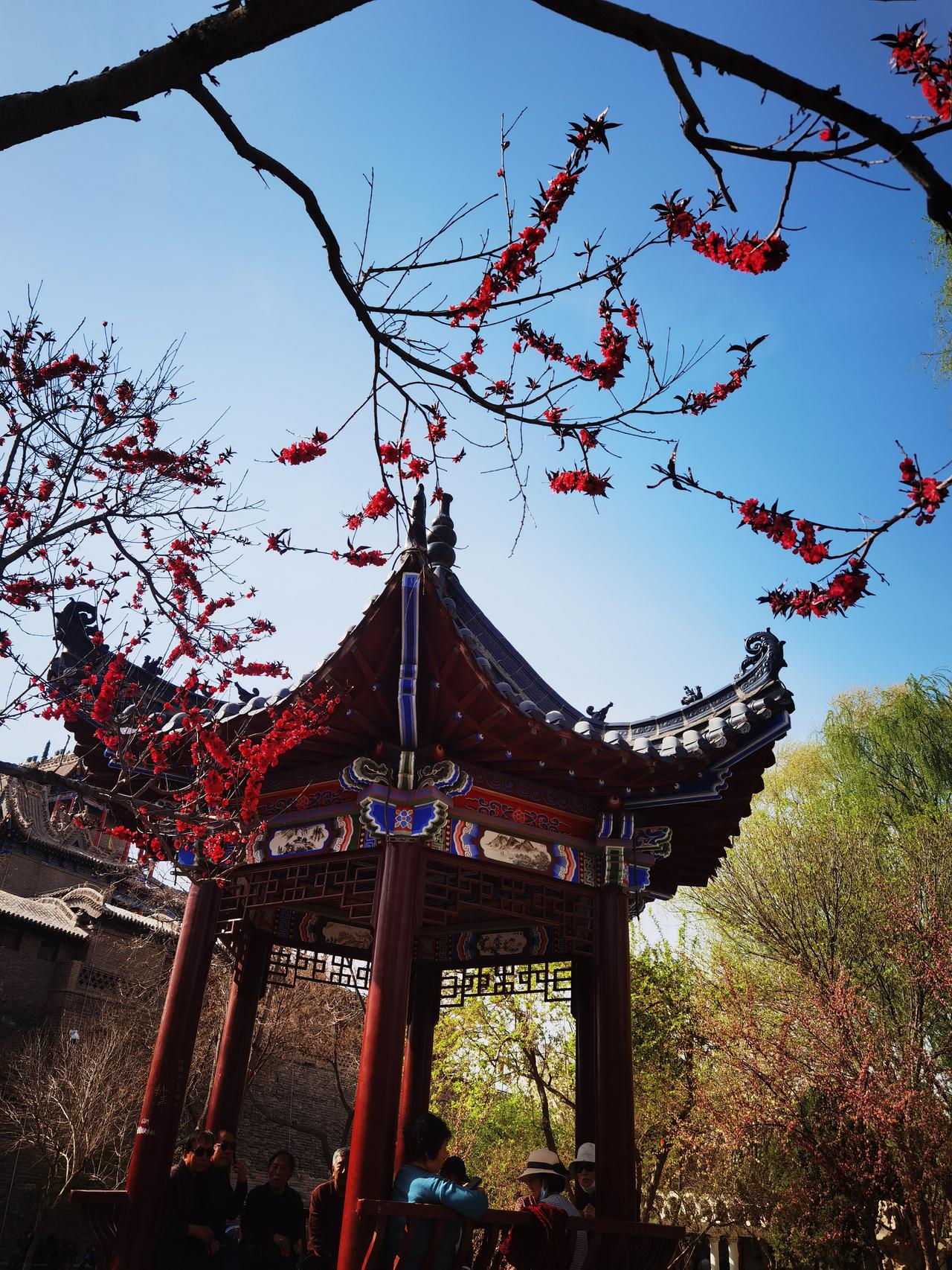 为什么现在禅修营寺庙义工越来越火爆？
我所生活的地方，就有几个寺庙，每次寺庙过会