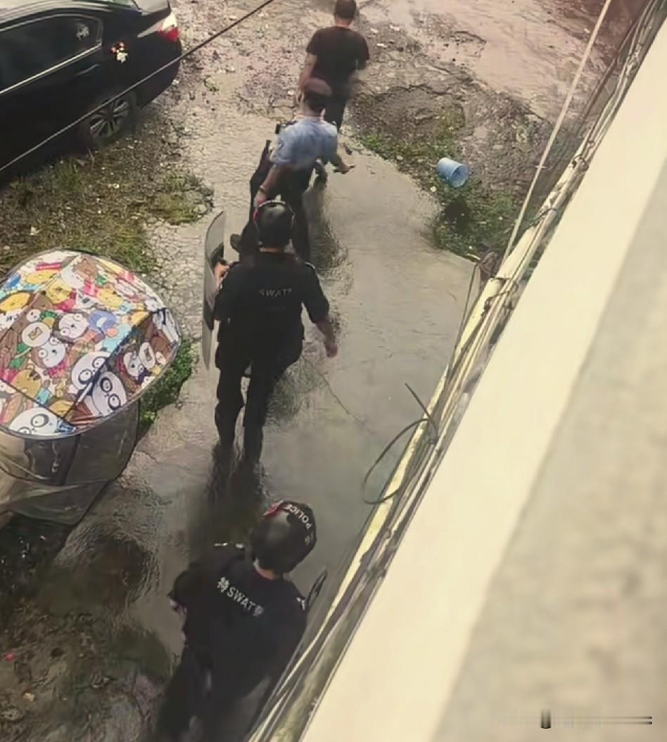 这下好了，回不去了。
