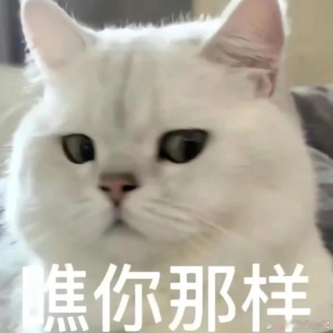 大吉胡咧咧 挟恩不图报80枣康真是服了这俩个活宝，把他吃得死死的。他总不能眼睁睁