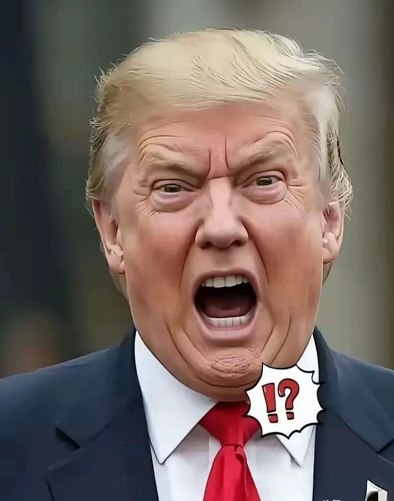 匈牙利选举新消息

4月12日，匈牙利正在选总理。可就在投票的节骨眼上，美国总统