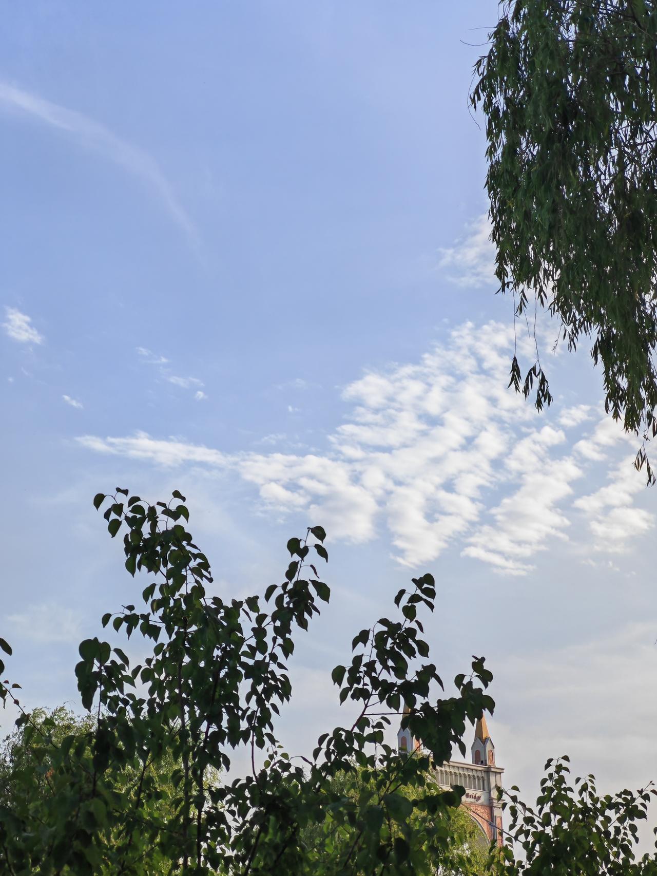 有的人说，人不能近了看。

近了看有时也许会让你失望的！

因为近了看清，会让你