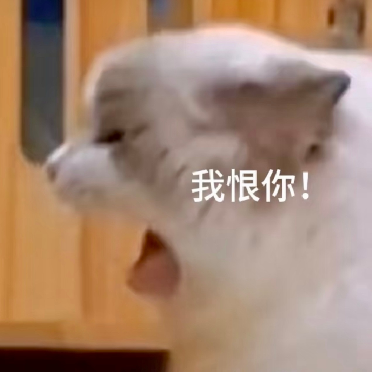 好不好嘛 [求关注][憧憬][中国赞] [抱抱][抱一抱][求关注][憧憬][中