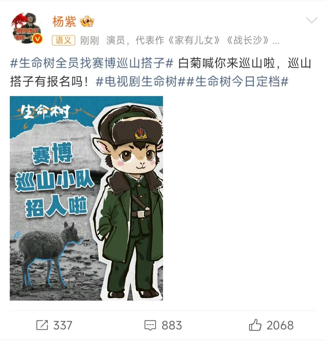 白菊喊你来巡山啦杨紫在线找巡山搭子 杨紫在线找巡山搭子 