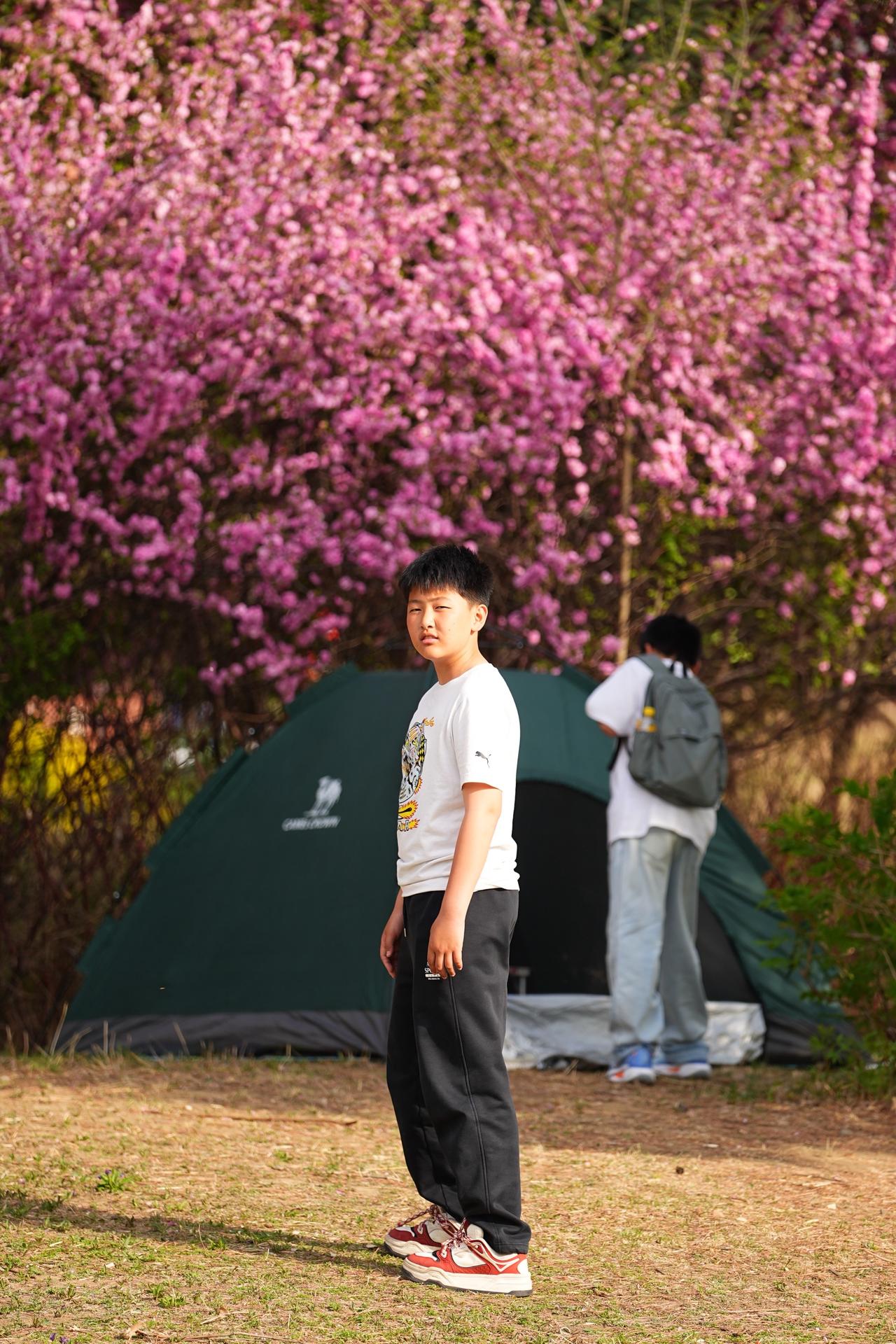 洒满阳光的午后