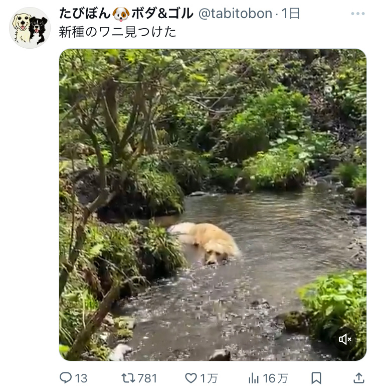 真･沼泽小狗[微风][微风][微风] ​​​