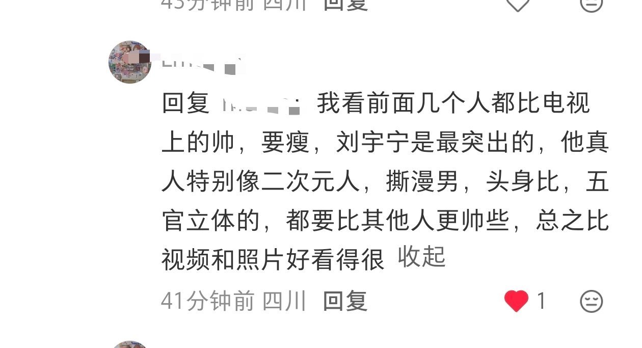 刘宇宁本人比照片视频真的要帅特别还得要近距离看，那个脸太精致，五官特别美人群中就