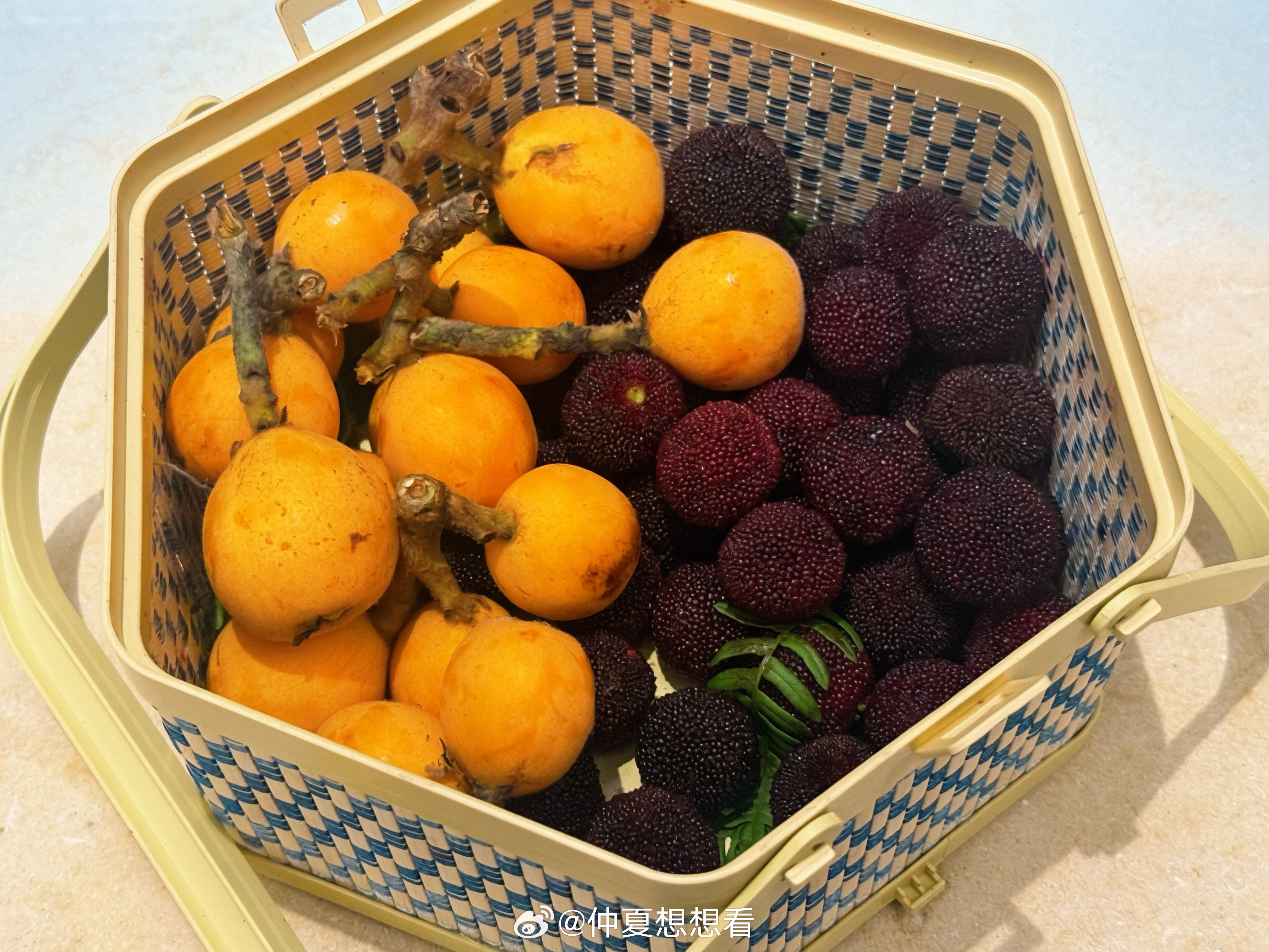 食堂大锅咖啡有多离谱大锅咖啡没有，彩排完有一份水果投喂