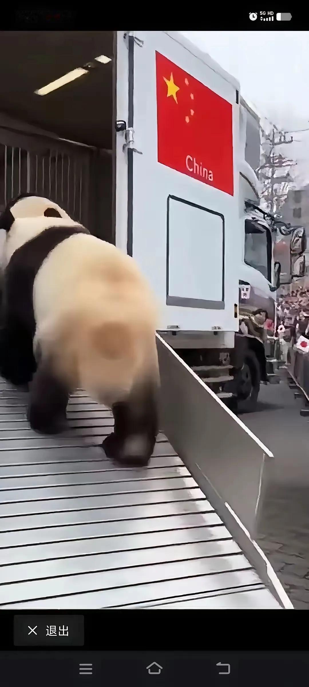 日本民众哭天抢地送熊猫，
咱四川籍的晓晓蕾蕾愣
是头也不回上车，
这画面看着也太