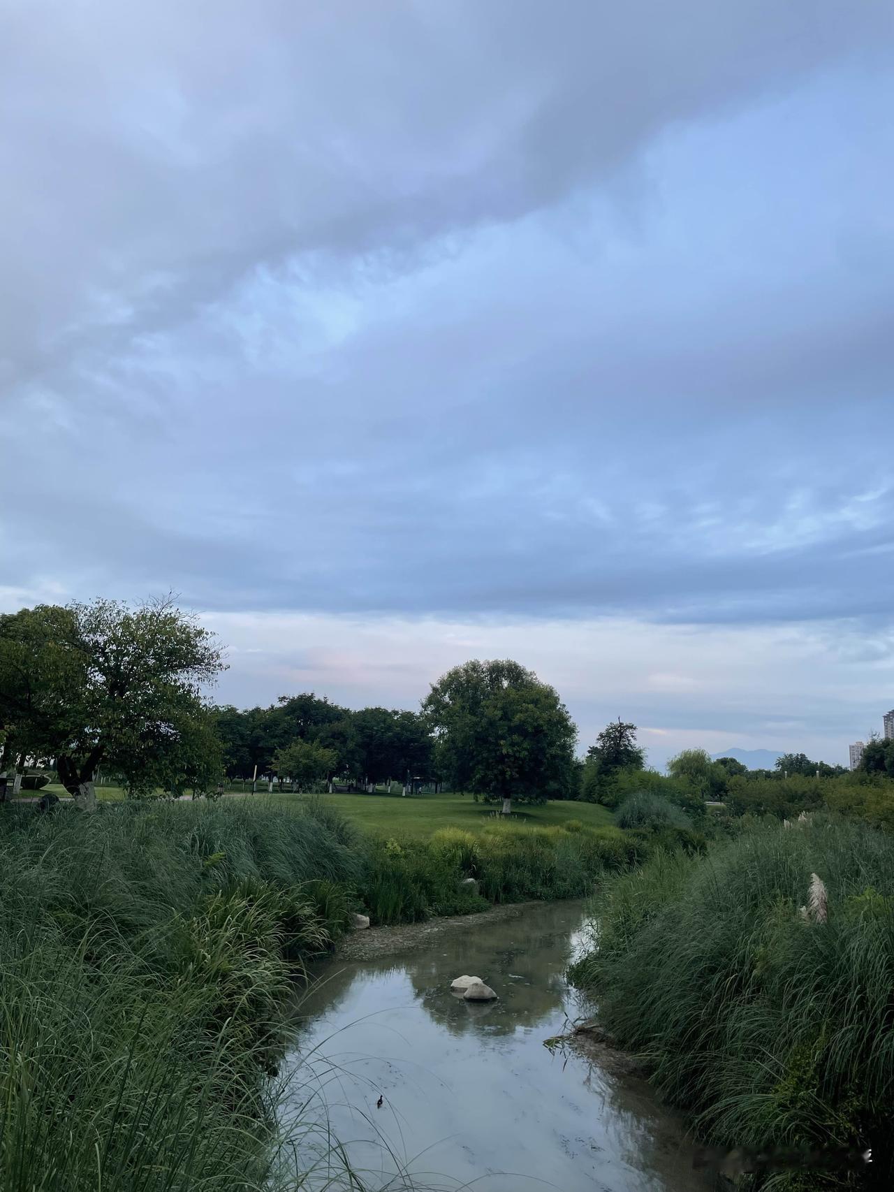 这是我们这汉江边的美景，看着和湖畔景色差不多吧！