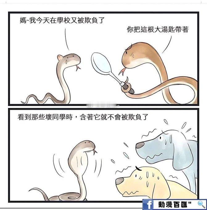 哈哈哈哈哈眼镜蛇 ​​​