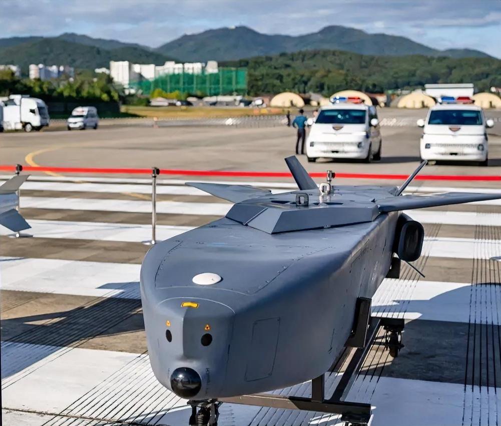 默茨表示，乌克兰不再需要金牛座导弹。
德国总理认为，乌克兰的远程武器比数量有限的