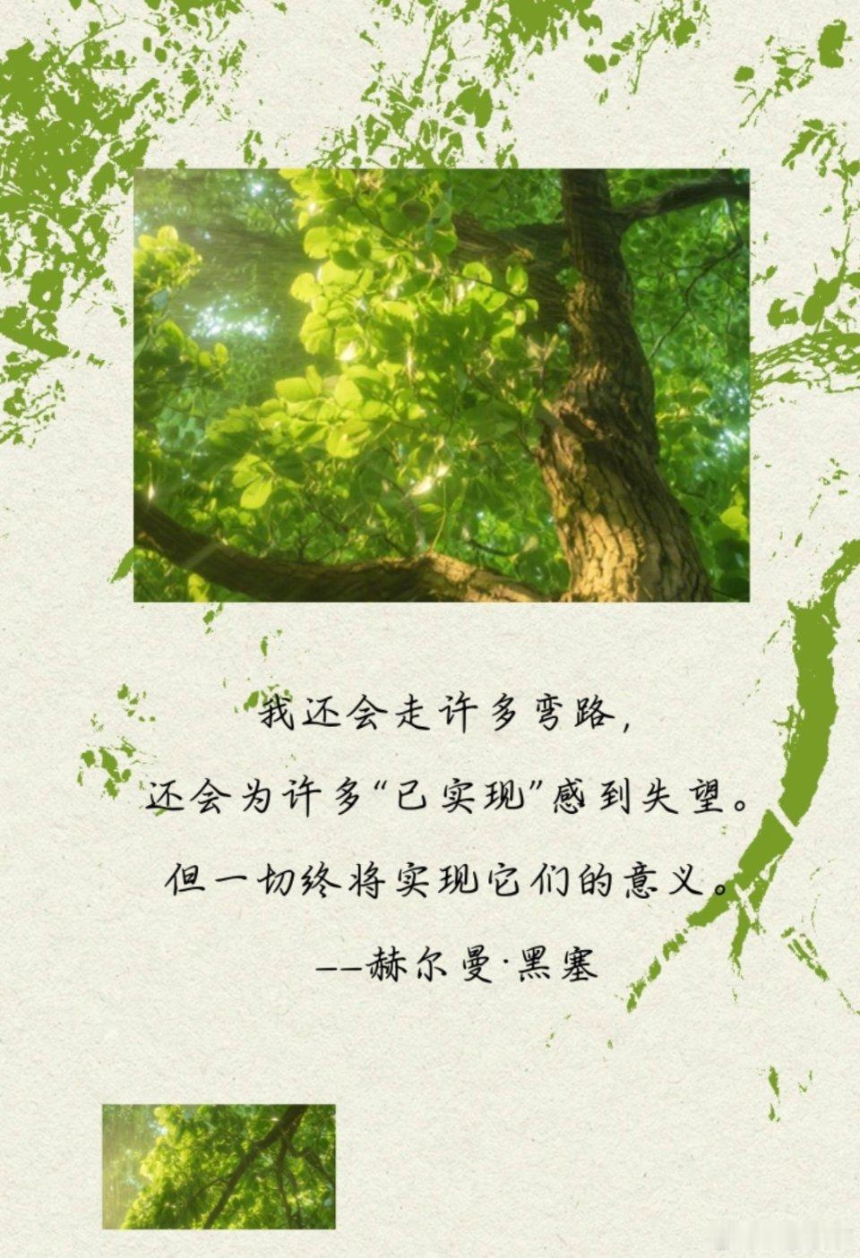 永驻画布的克林索尔之夏《克林索尔的最后夏天》作者：[德]赫尔曼·黑塞🌿一个更热