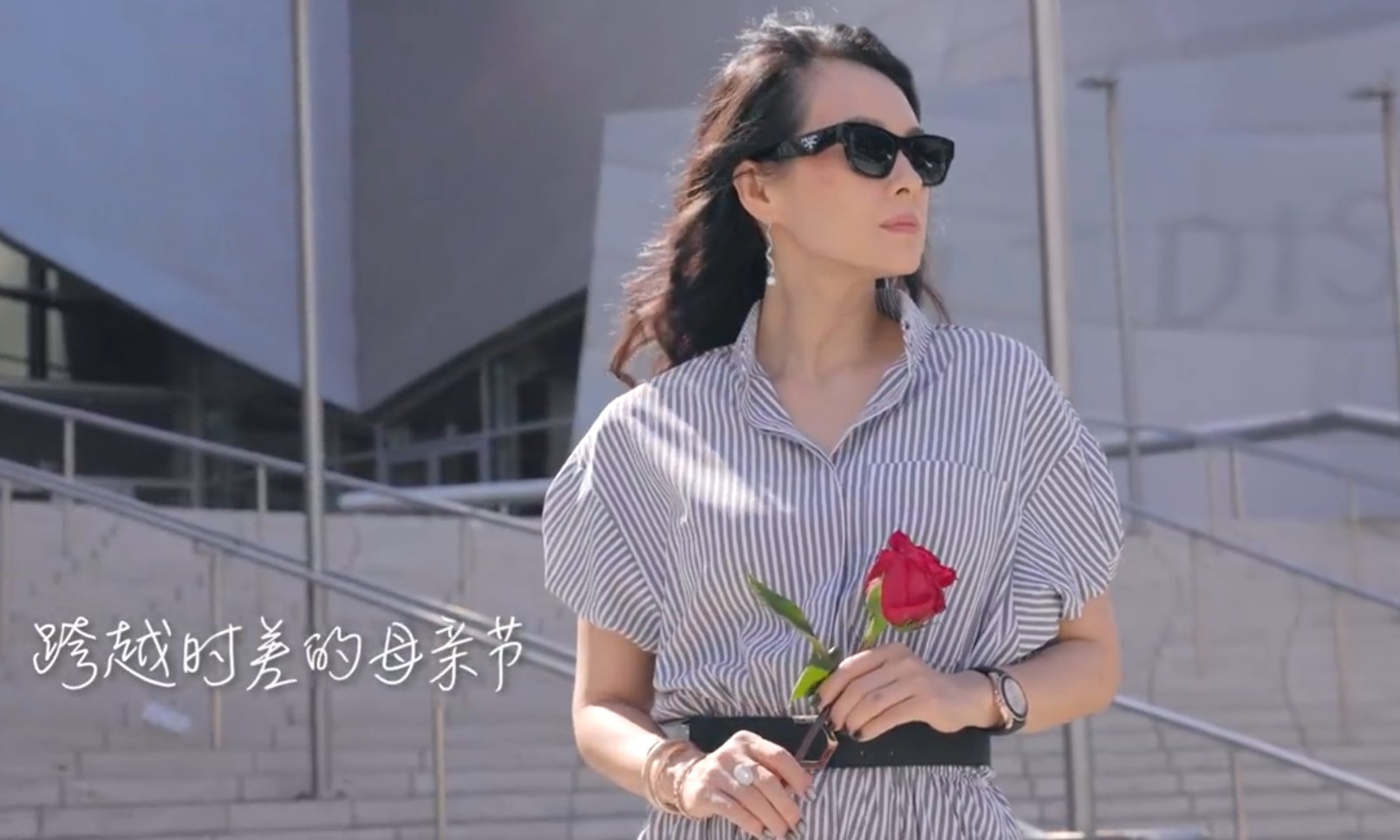 章子怡卧虎藏龙25周年vlog 章子怡 vlog 中《卧虎藏龙》25 周年，她与