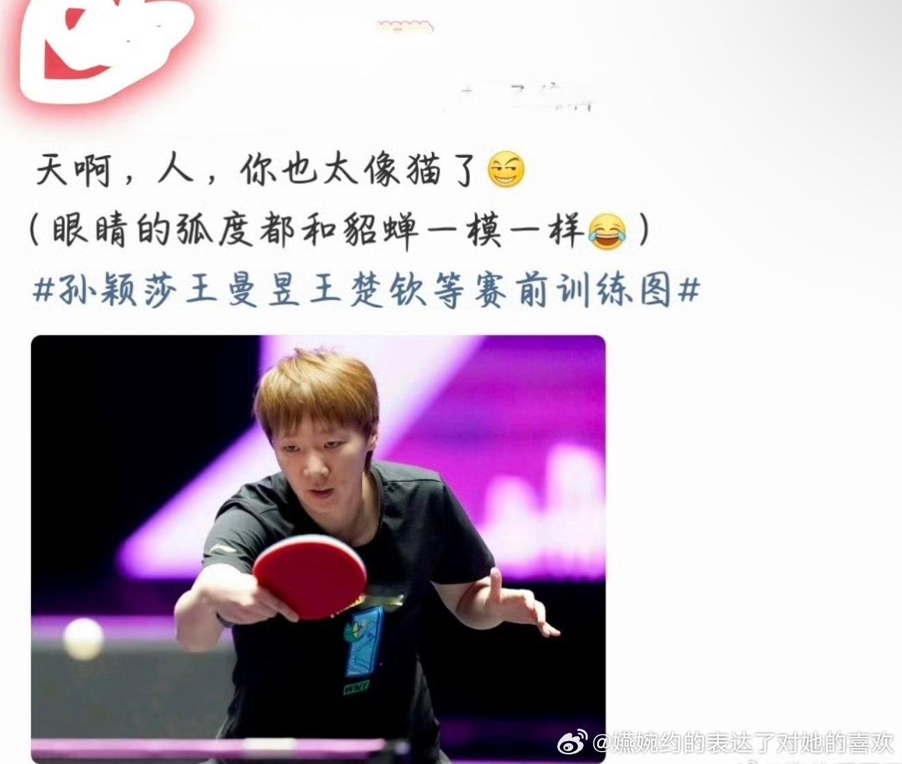 “天啊，人，你也太像猫了”真的假的