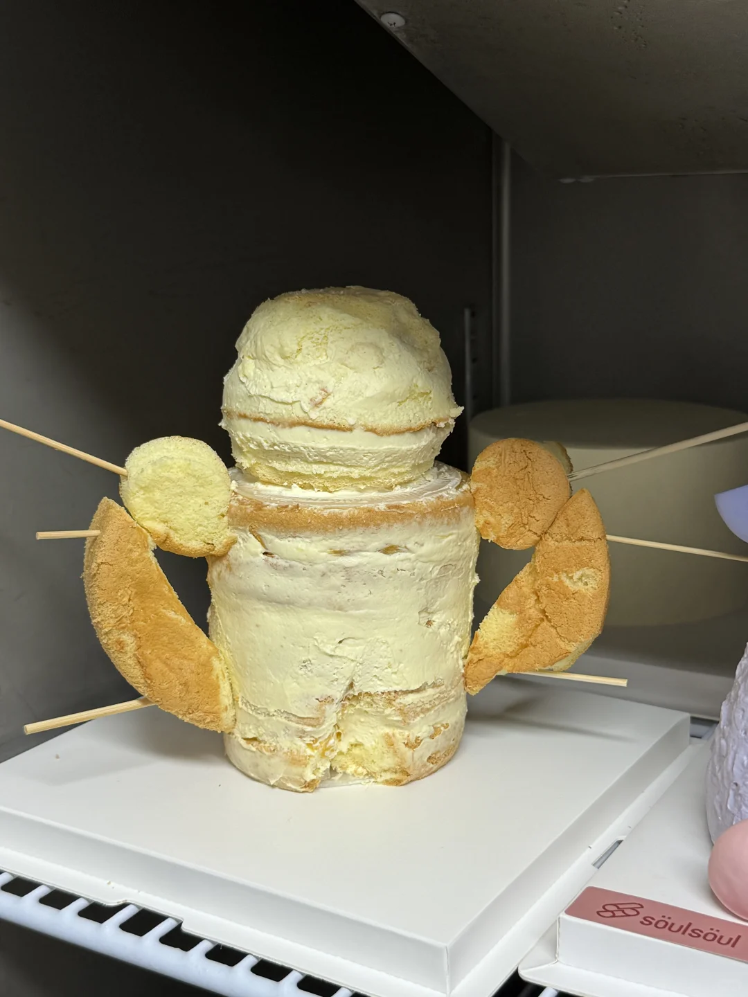 打开冰箱…看到了什么