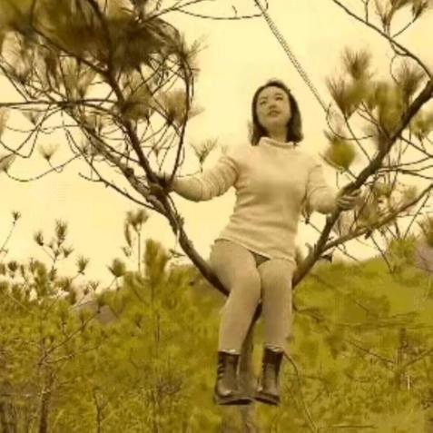 惊呆所有人：女子公园爬松树拍视频，摇晃间悲剧瞬间发生，网友：活该！
 
惊呆所有