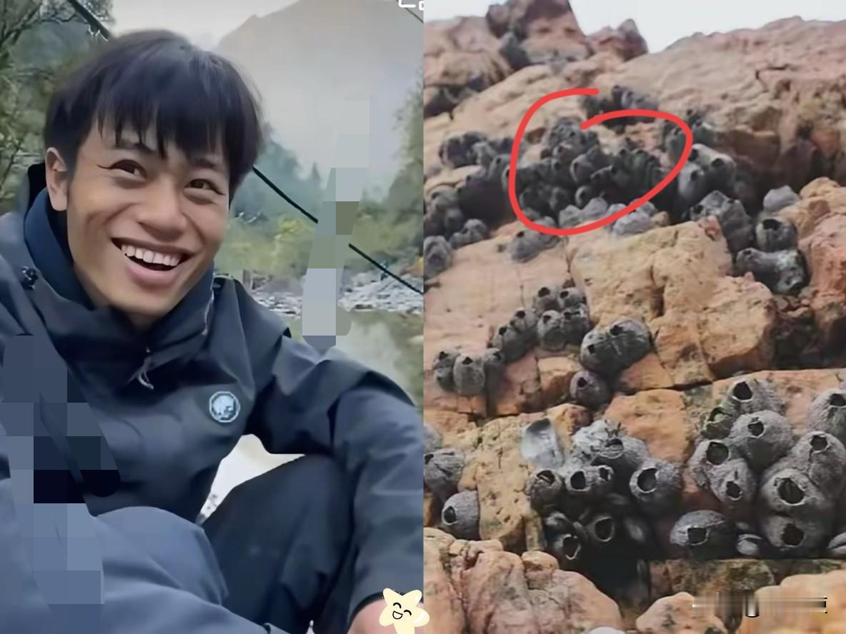 林北这回真是给所有人上了一课。
别的选手还在山下抢那点物资，
他倒好直接爬到了山