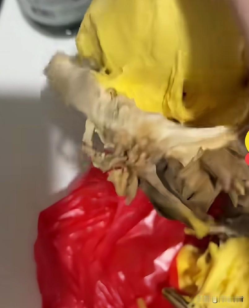 真是长见识了，居然有假榴莲，用橡皮泥和土豆做的。
有人在街边买了个榴莲，9块9一