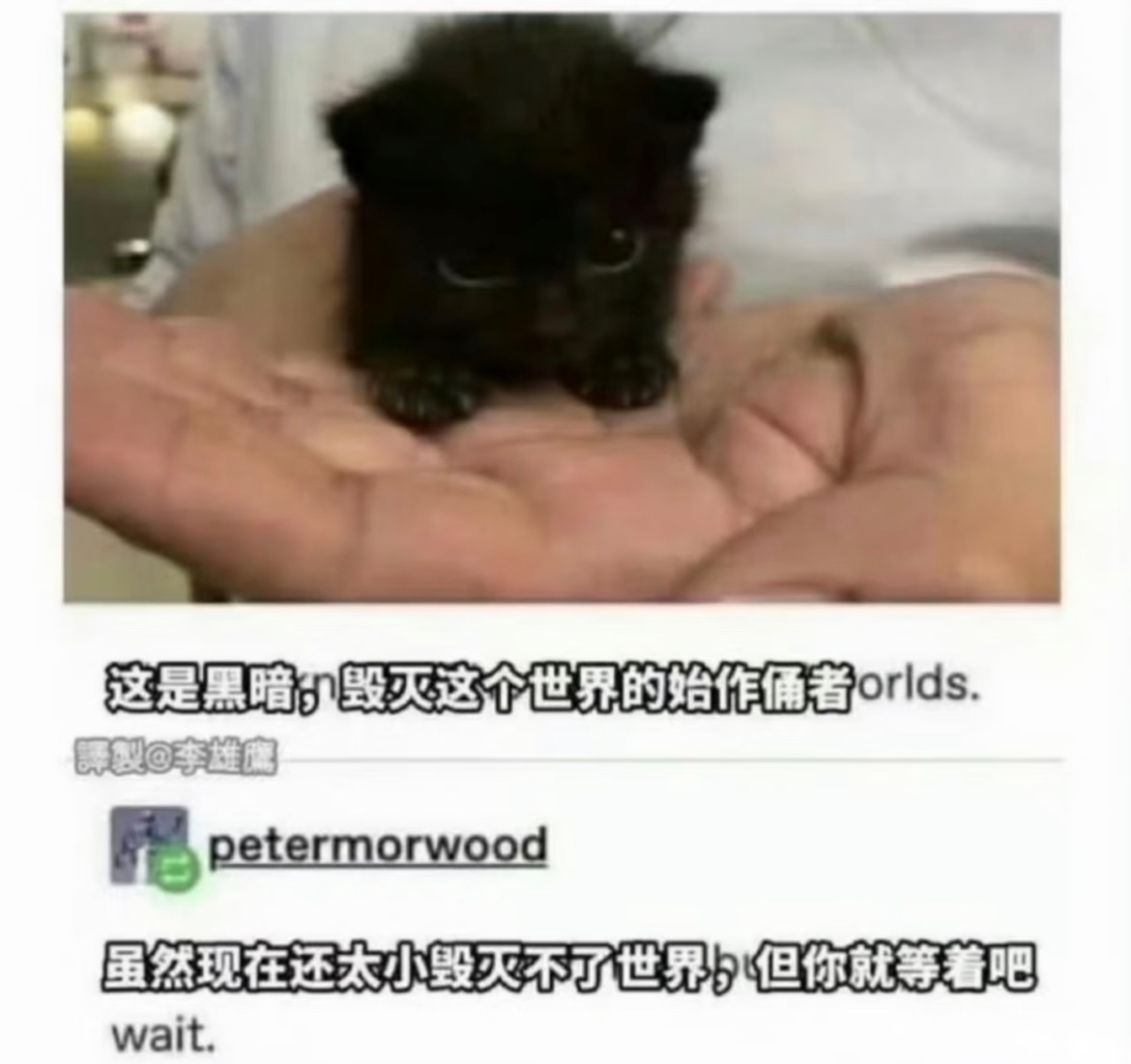 小劳务真的把相方嬷和咒孝子养得很差。几波人去年合力A票看乐子最后依旧被燃王扇大巴