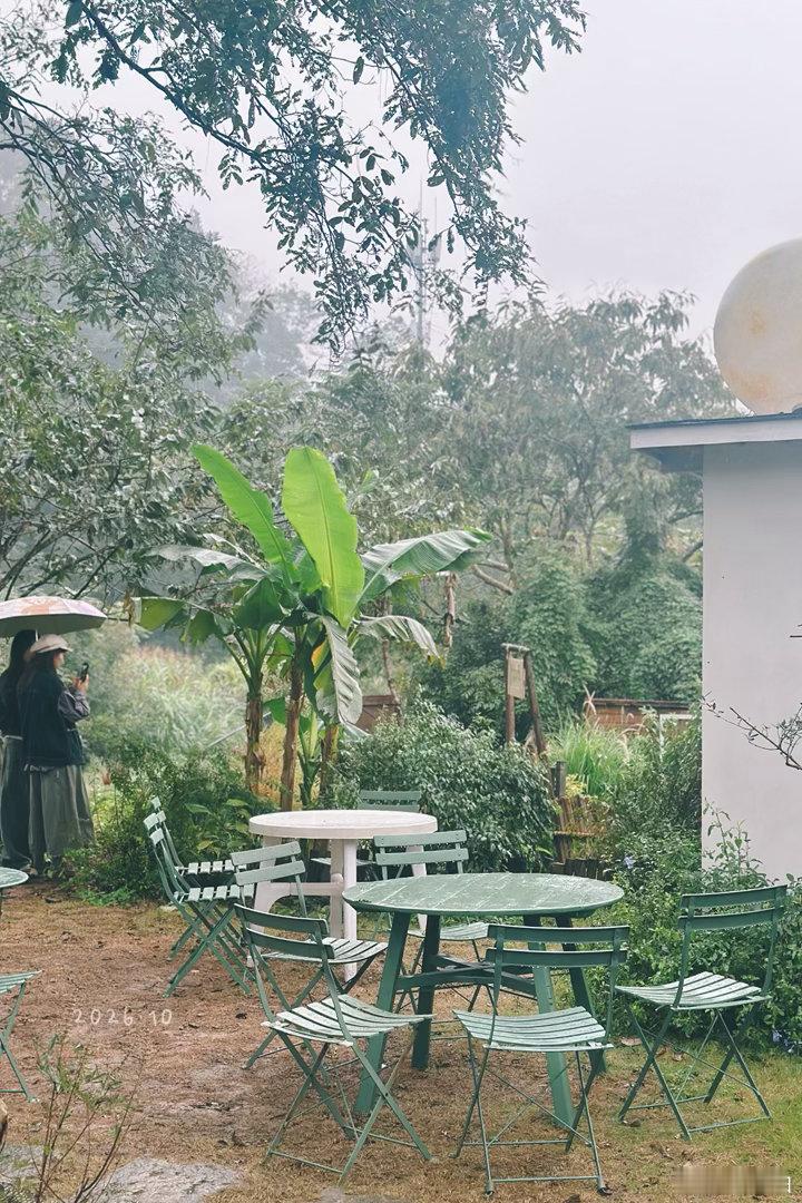 下雨天，在菜菜的小院听雨落的声音。💧 ​​​