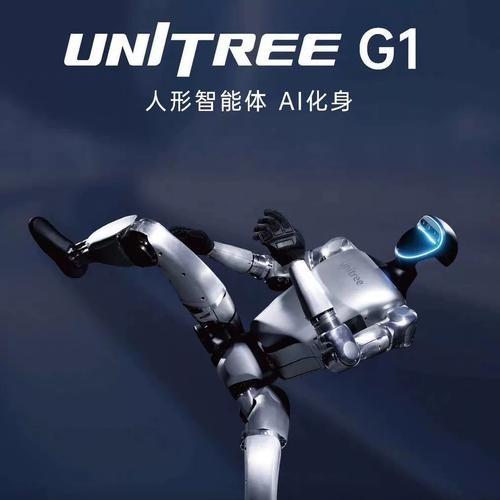 美国宣布制裁“宇树”，我们看不上的遥控玩具“宇树”，竟然占了全球机器人70%市场