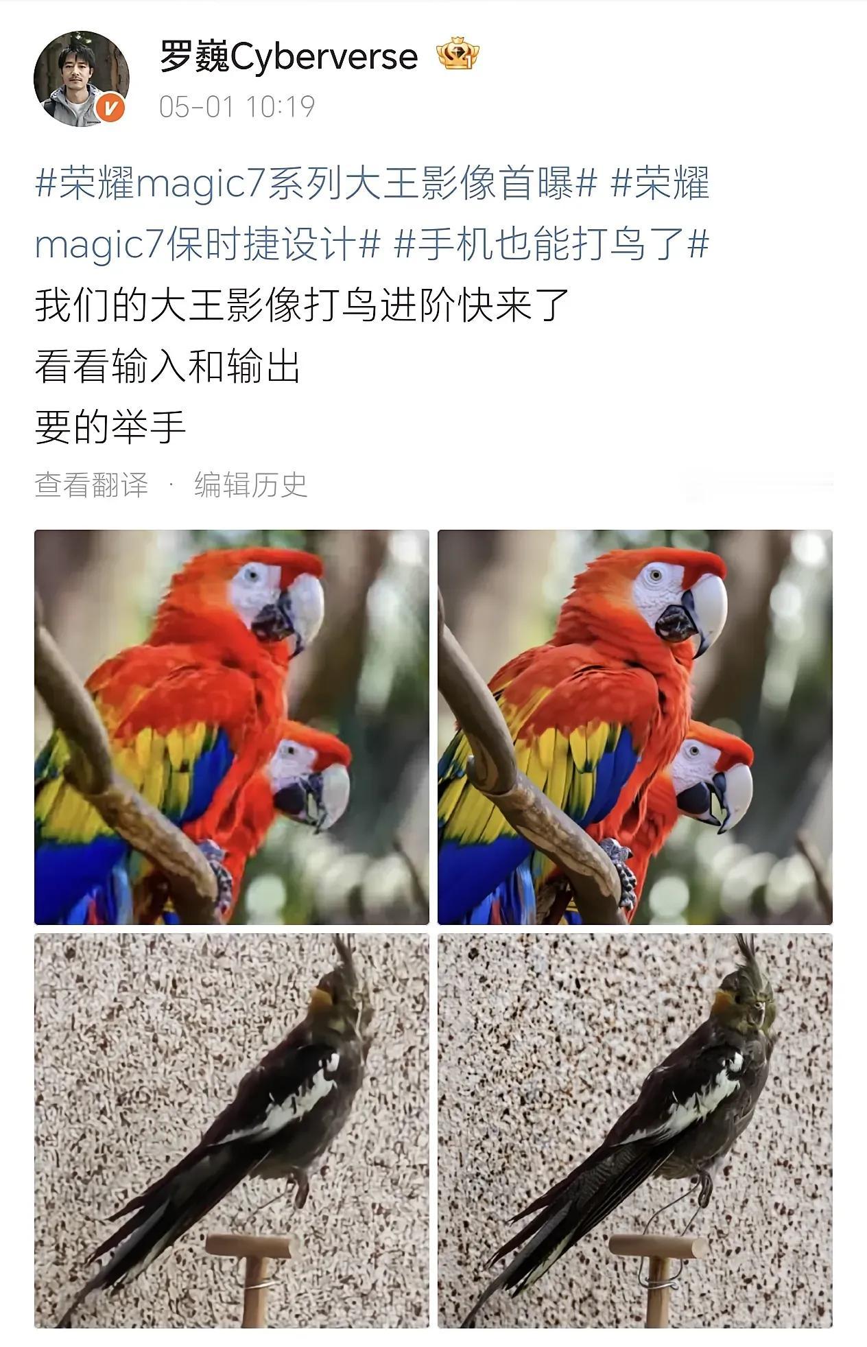 近日荣耀首席影像家罗巍晒出荣耀magic7 RSR的大王影像的打鸟进阶版，出成像
