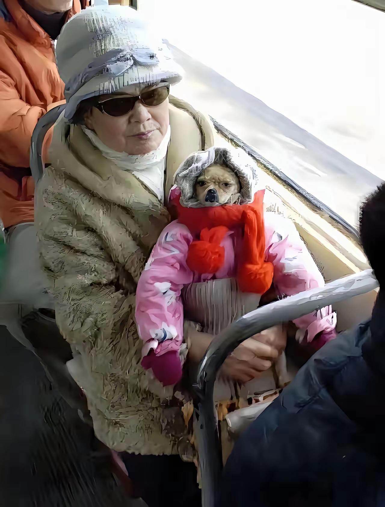 人模狗样，蒙混过关

某地公交车上，有一位大妈把自己爱犬，乔装打扮成一个婴儿，蒙