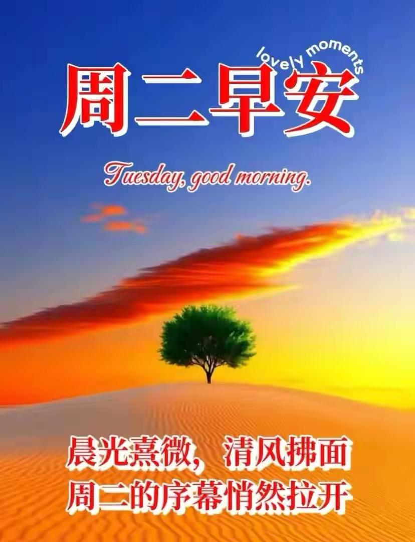每天清晨都想送上一份祝福，平凡的话语里满是真心。愿朋友们晨起有欢笑，出门遇好运，