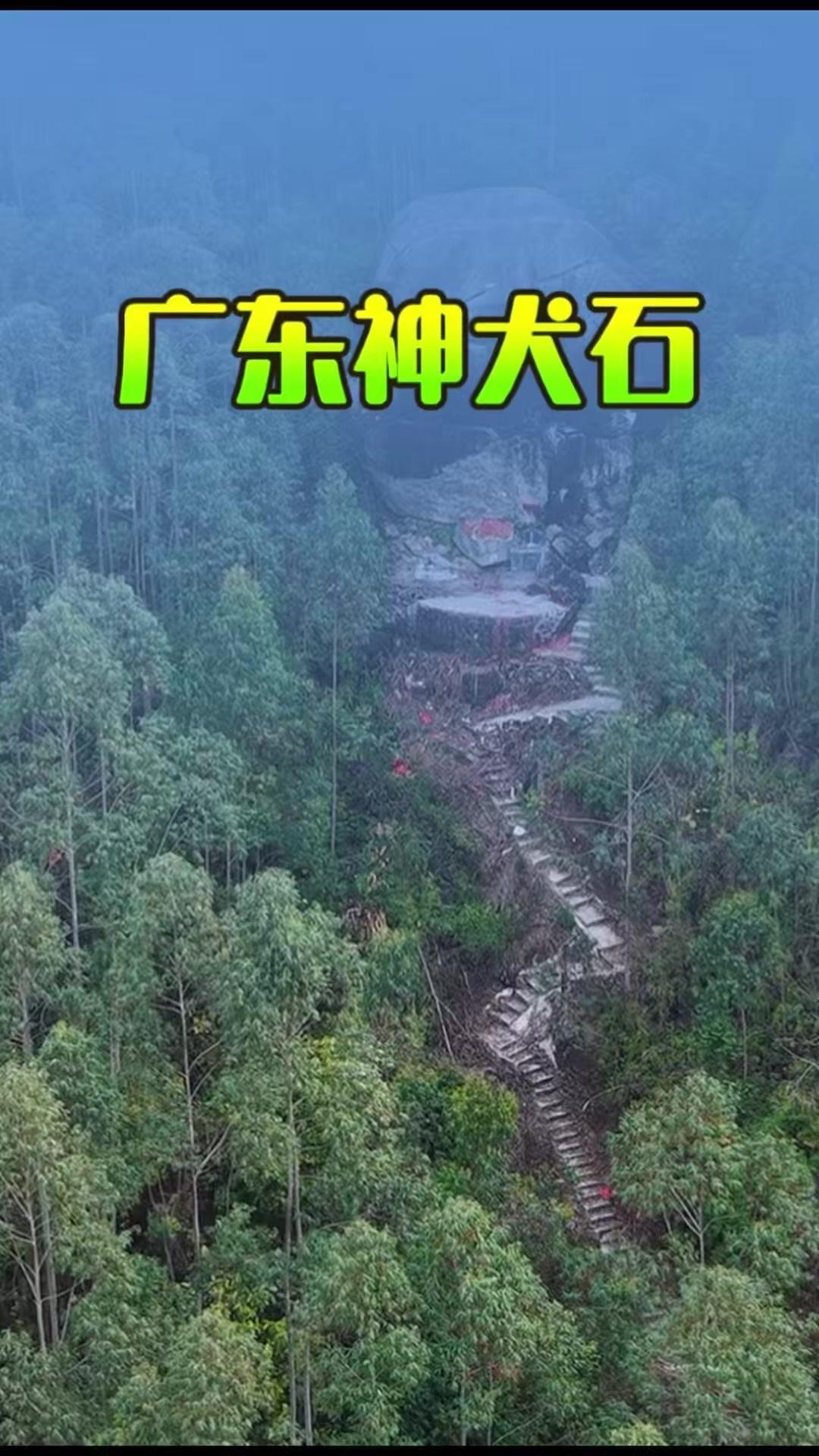 在广东大山深处意外发现一块形似狗头的石头，栩栩如生，大自然的鬼斧神工太神奇了！