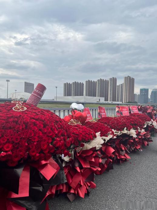 真想不明白肖战演唱会，为啥大家要送这种玫瑰花？真的有点过了吧？ ​​​