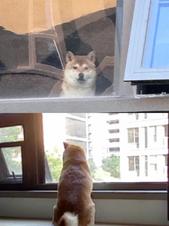 人，还不回家吗？