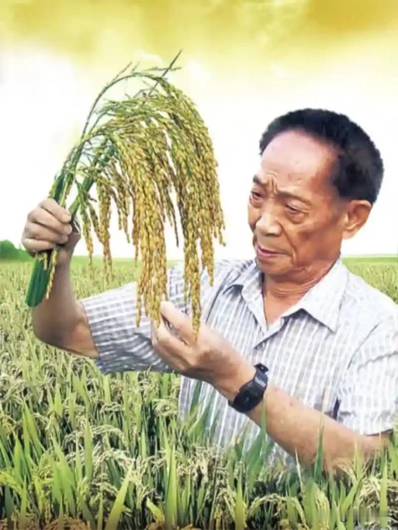 致敬杂交水稻之父袁隆平院士
 
袁隆平为人类粮食安全作出卓越贡献，是当之无愧的杂