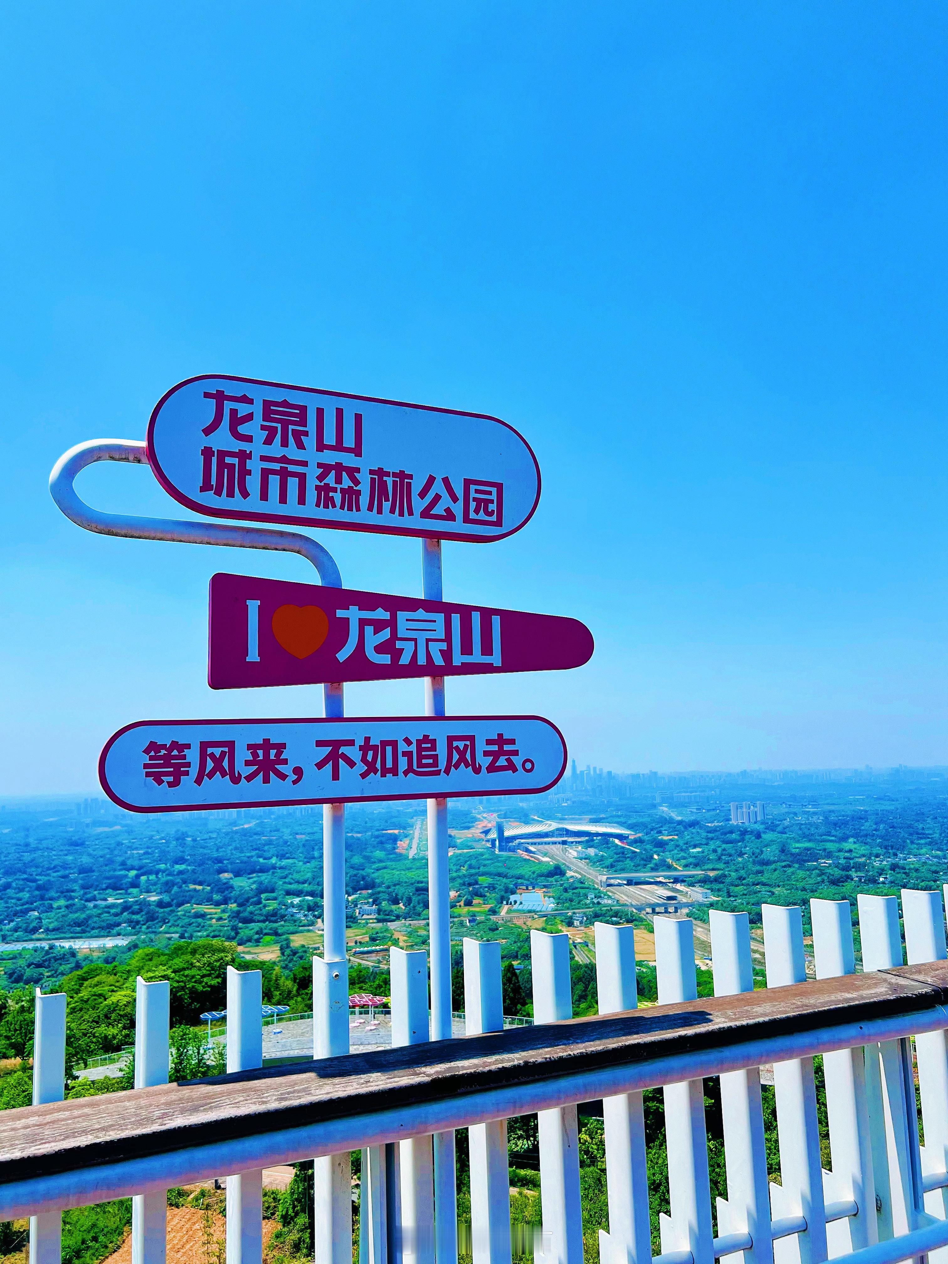 高精力人群💪🏻回来立马给自己安排一场酣畅淋漓的爬山运动！ 成都·龙泉山森林绿